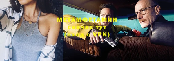 индика Осинники