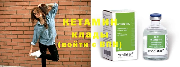индика Осинники