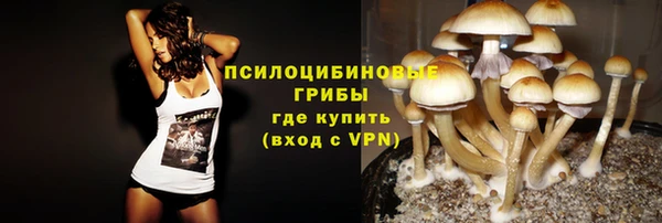 индика Осинники