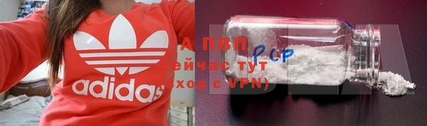 мдпв Осташков