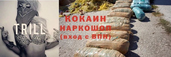 мдпв Осташков