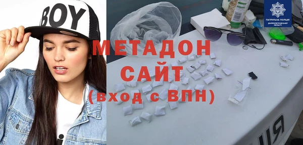 индика Осинники