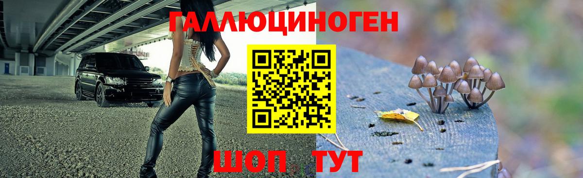 Канабис Чебаркуль