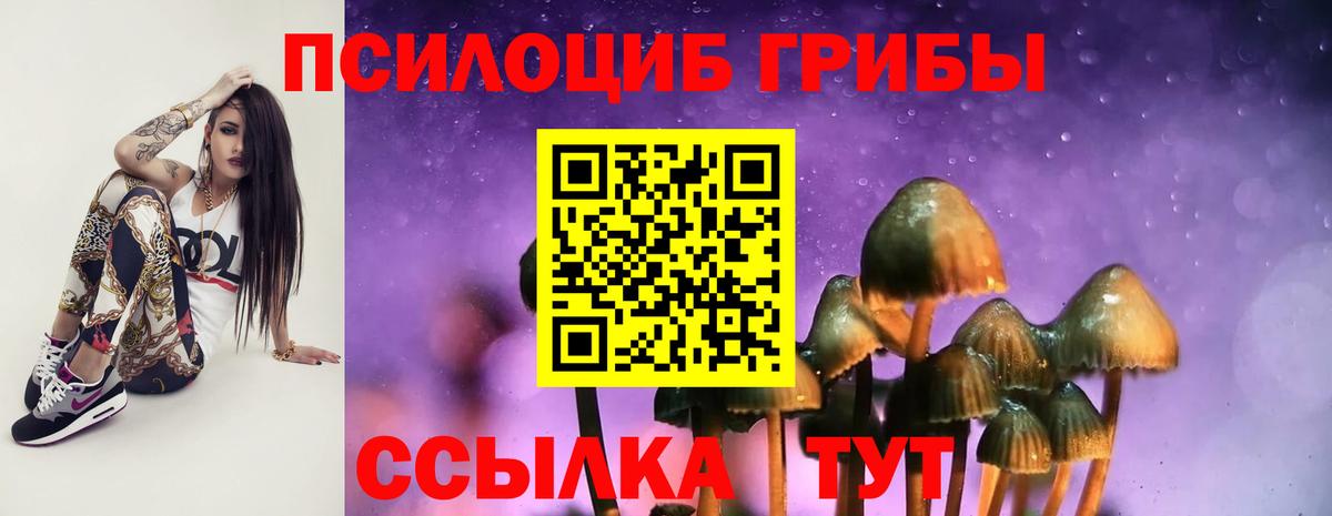 Псилоцибиновые грибы MAGIC MUSHROOMS  Вход с VPN  хочу   Чебаркуль  Псилоцибиновые грибы Psilocybine cubensis 